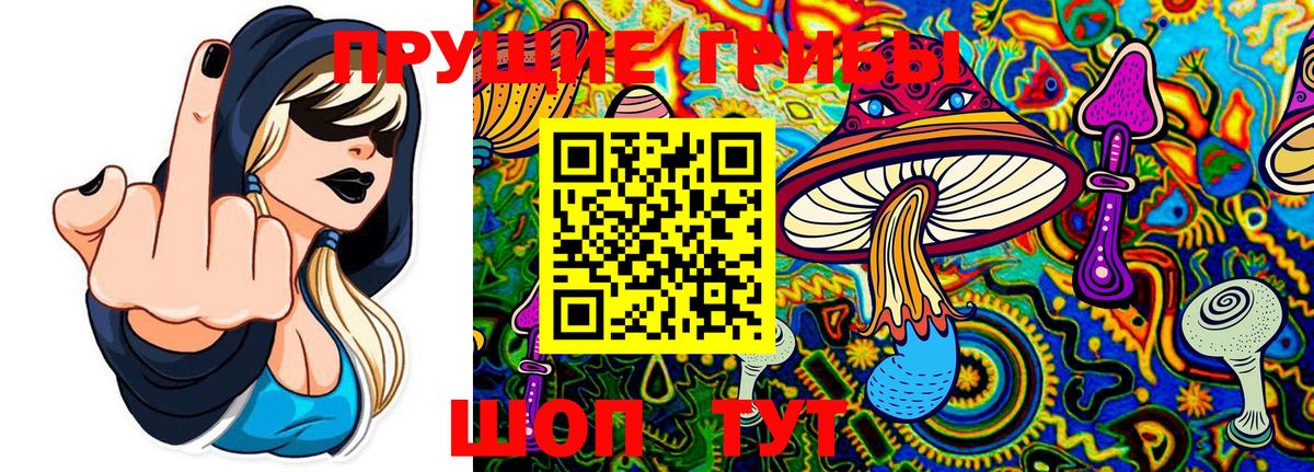 Чусовой  Галлюциногенные грибы ЛСД  Вход с VPN 