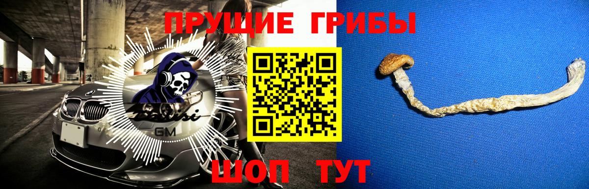 Псилоцибиновые грибы Cubensis Чусовой